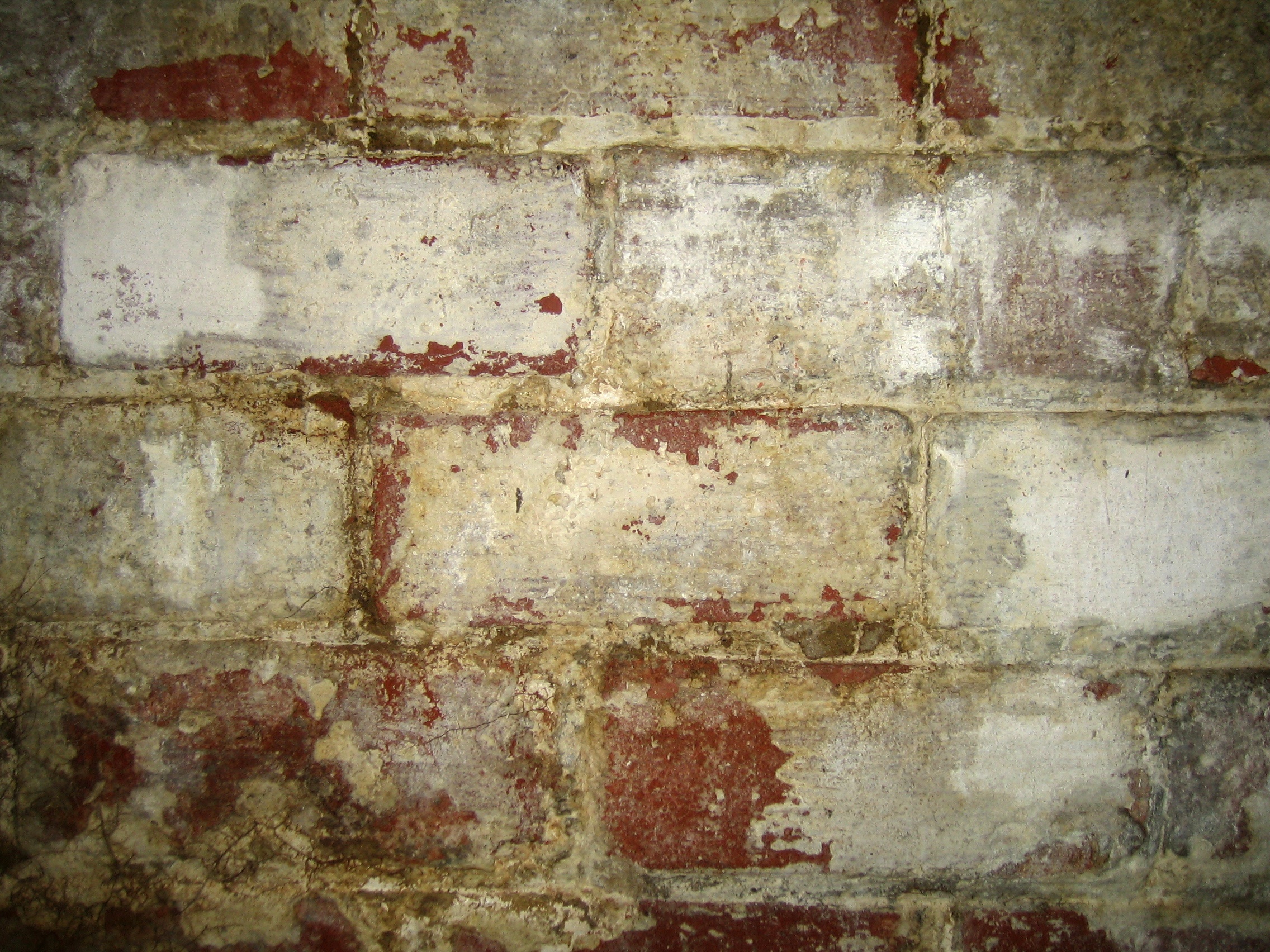 white-efflorescence-brick-walls-DC