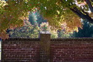 Autumns Impact on Historic Masonry - Sound Advice for DC Homeowners - Renaissance Development DC
