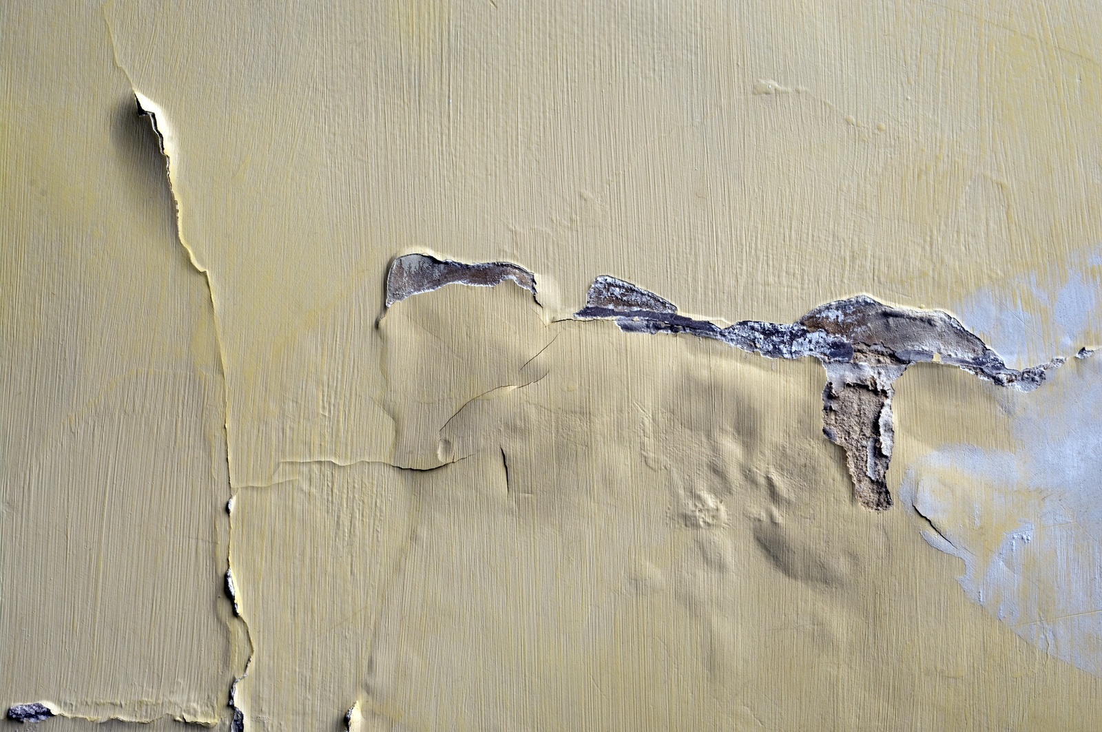 Do You See Bubbling On Your Interior Plaster Walls