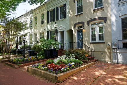 Spring into Action: Boost the Curb Appeal of Your Historic D.C. Home