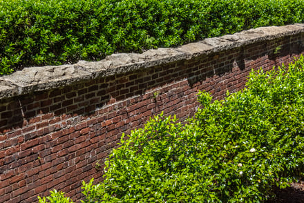What You Need to Know About Repairing Historic Retaining Walls in D.C.