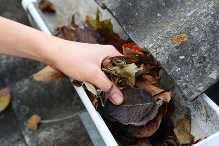 Clean Your Gutters: Protect Your Historic Brick Home From Water Damage