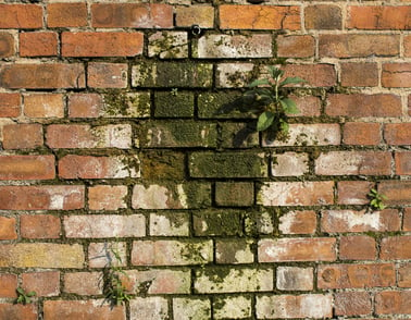 Three Key Ways to Avoid Winter Water Damage to Old Brick