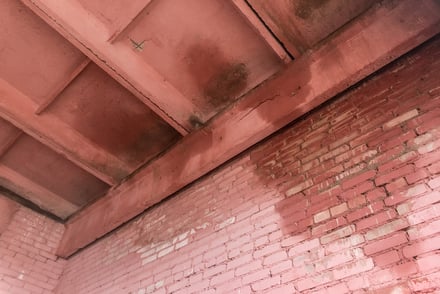 Don’t Let Seeping Water Cause Damage to Your Interior Brick Walls