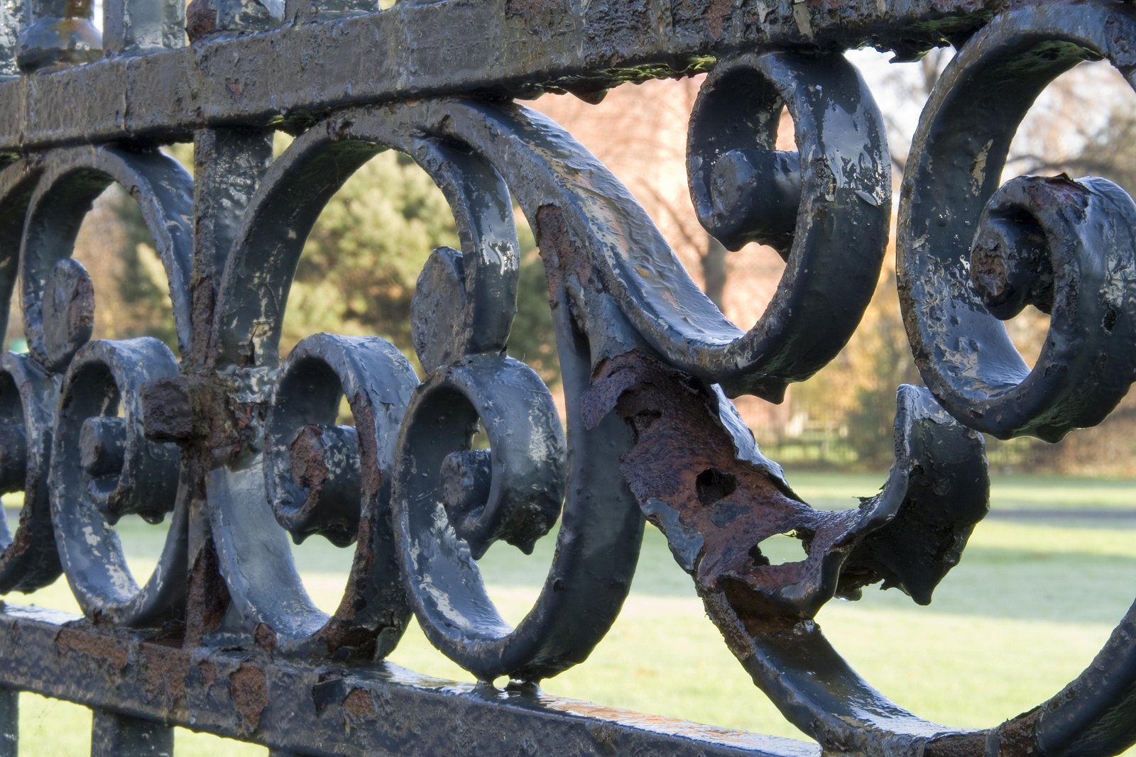 Ironwork Restoration Bringing Back Grand Historic Gates - Renaissance Development DC