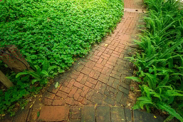 Make-the-Necessary-Repairs-This-Spring-to-Keep-Brick-Walkways-Safe-Renaissance-Development-Washington-DC