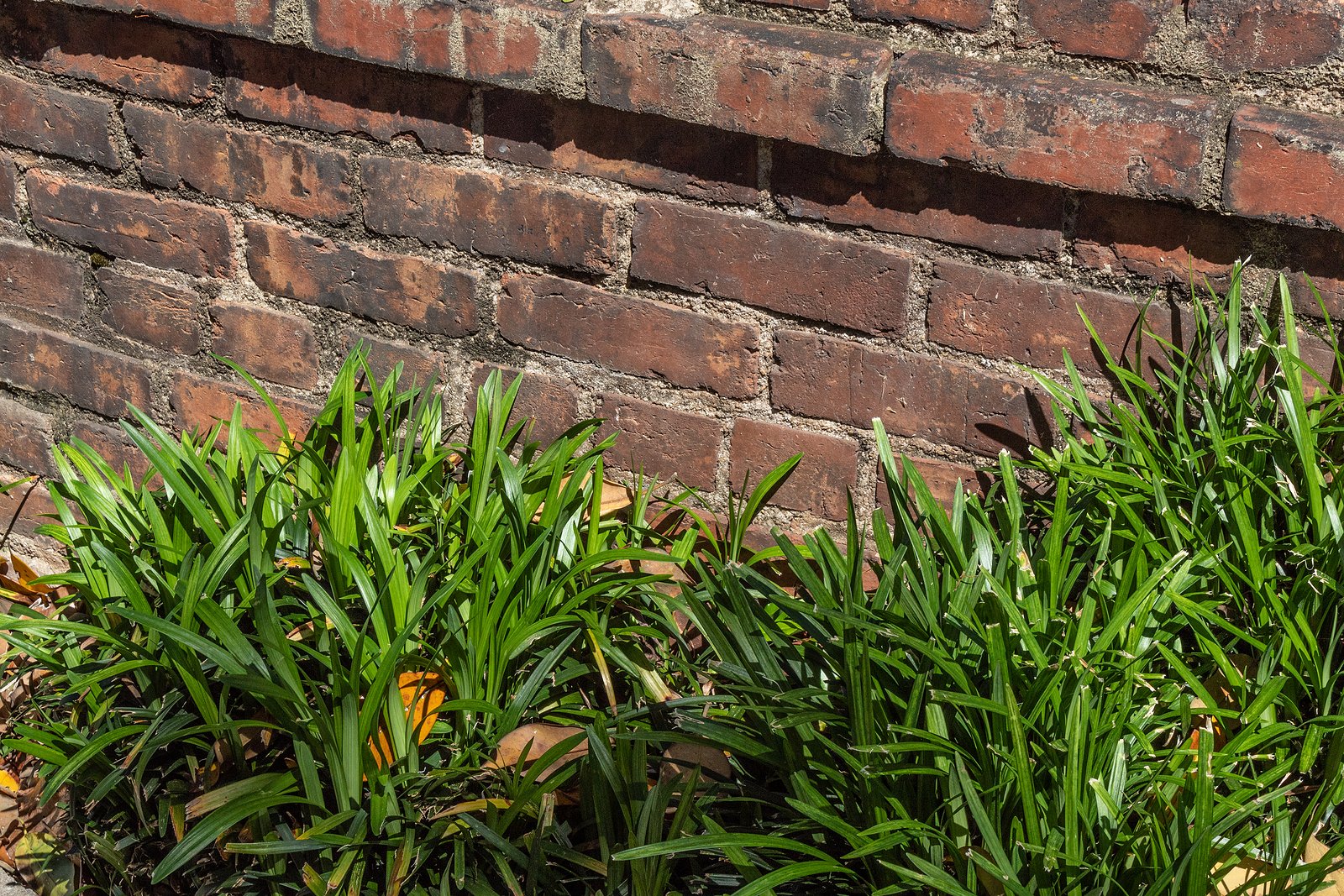 More Than Functional Brick Retaining Walls Can Be Heritage Statements - Renaissance Development Washington DC