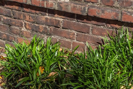 More than Functional, Brick Retaining Walls Can Be Heritage Statements