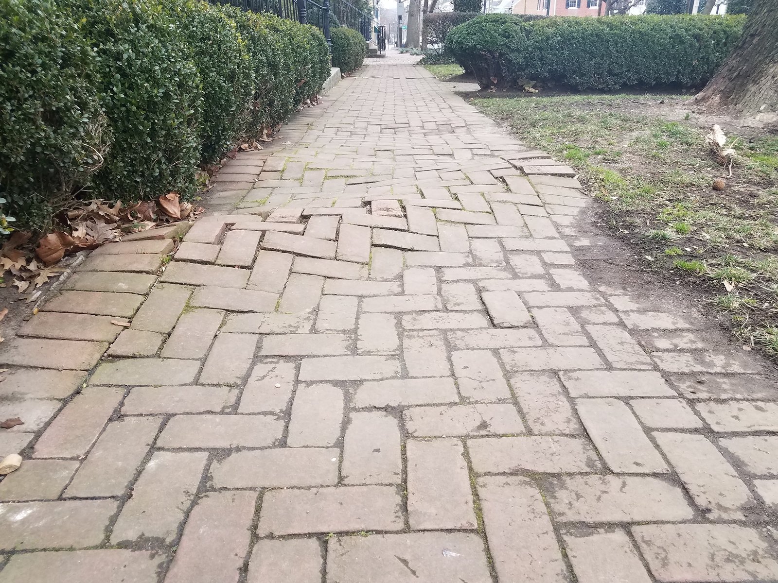 brick-walkways-disaster-DC