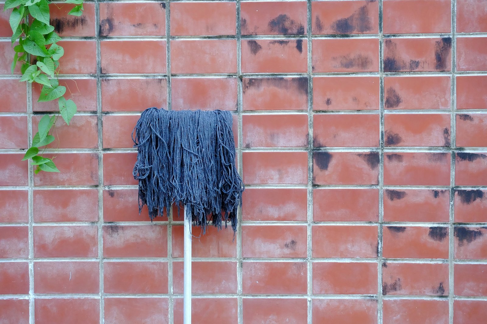 how-to-clean-old-brick-DC