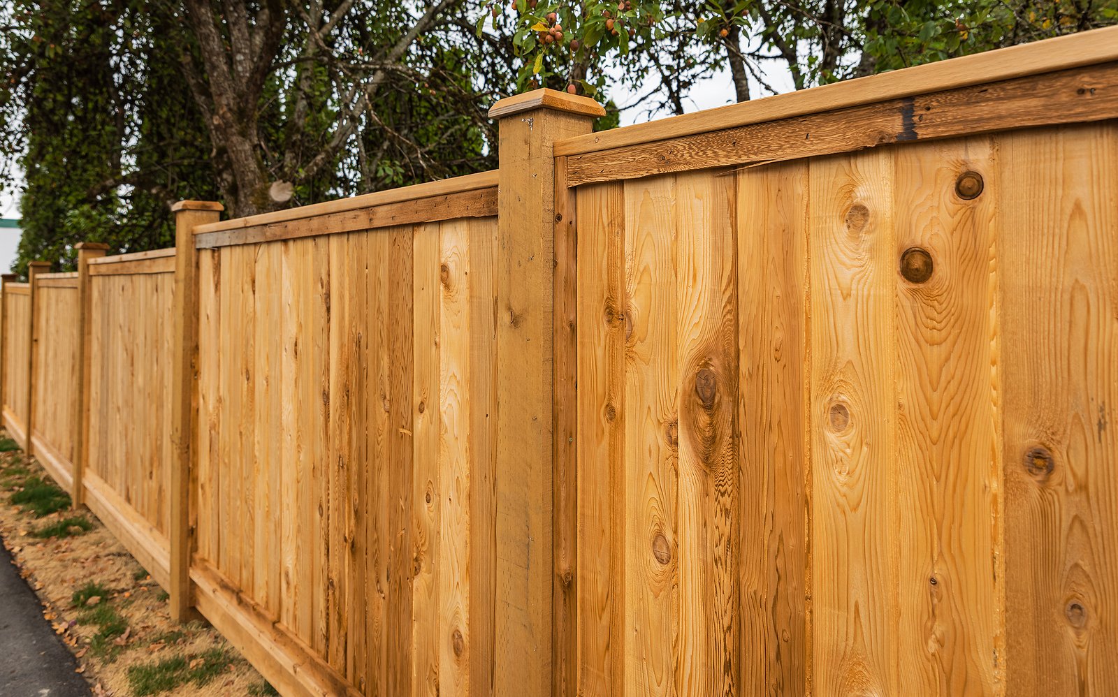 Wood Fencing Best Choices for DCs Historical District - Renaissance Development Washington DC