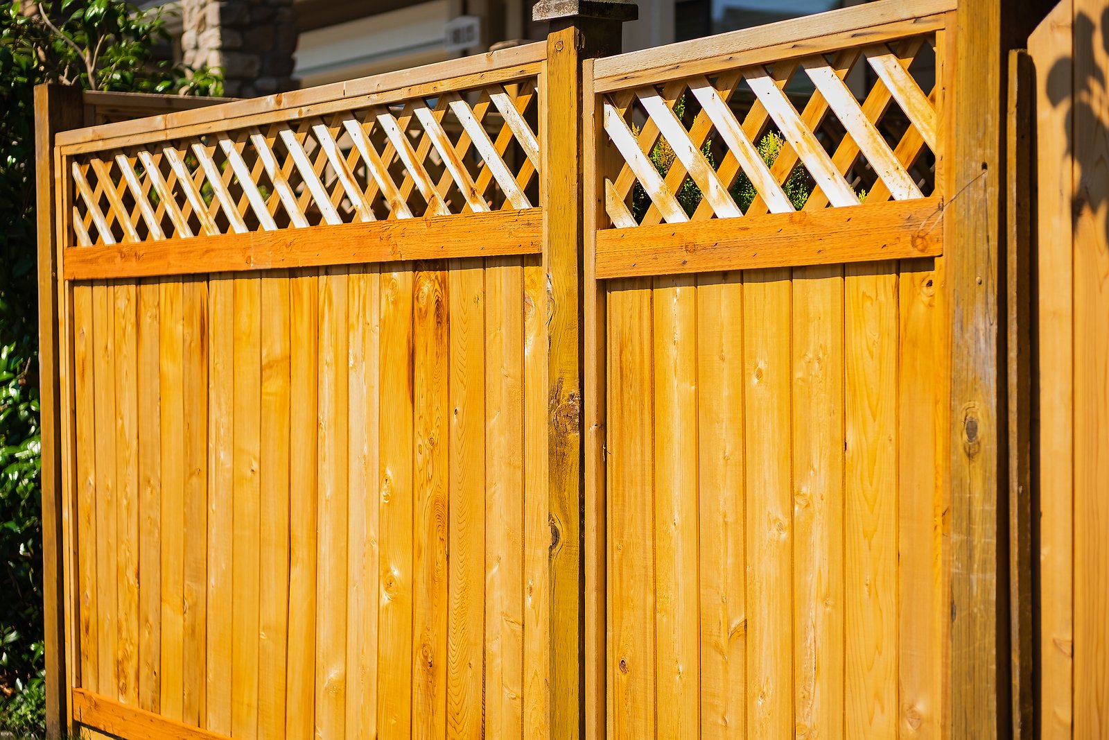 Wood Fencing vs Iron Gates Best Choices for DCs Historical District - Renaissance Development DC