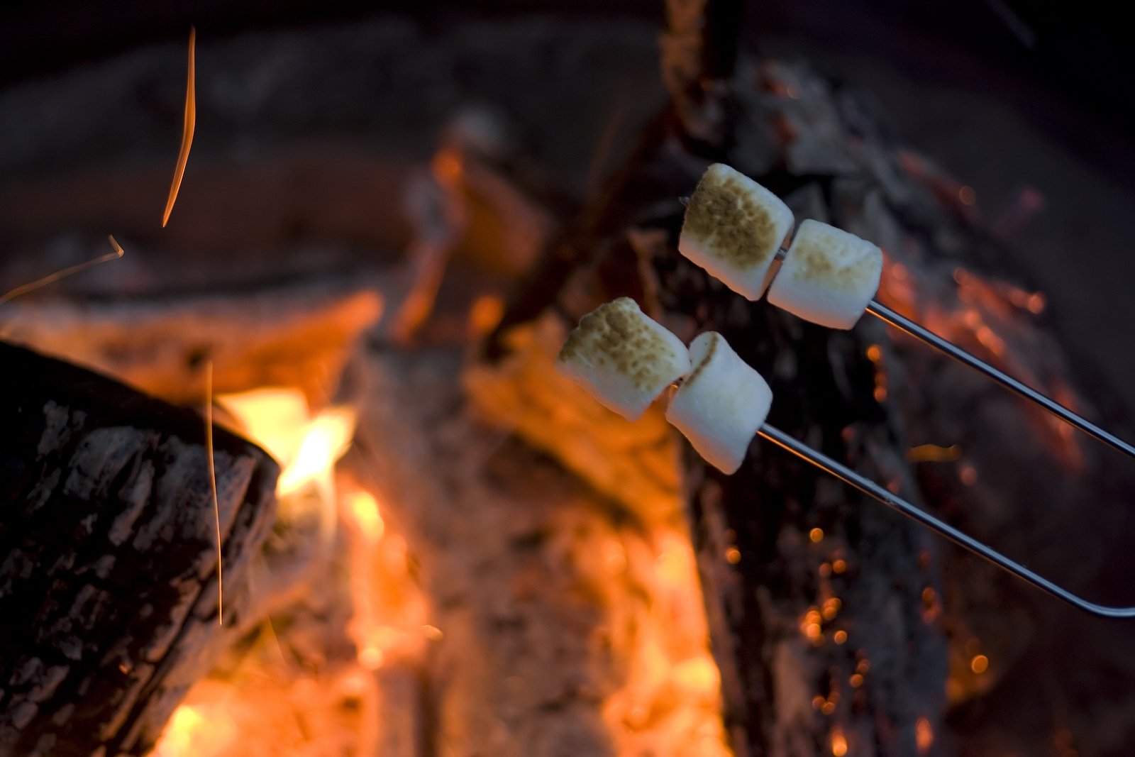 roasted-marshmallows-over-firepit-renaissance-development-dc