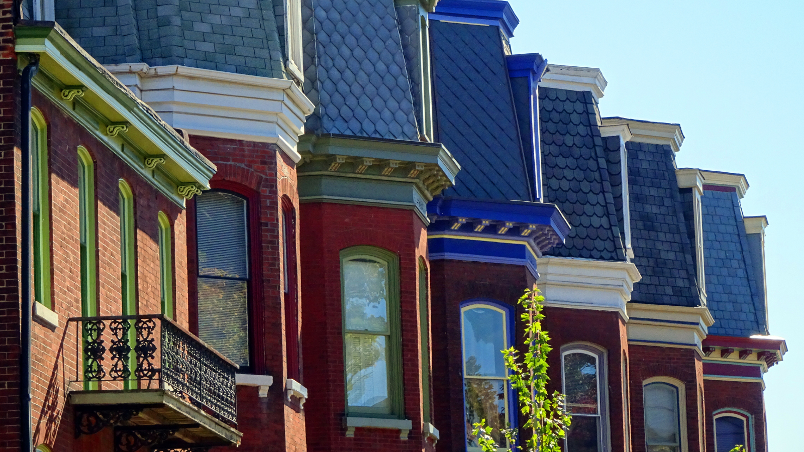 A profile of the upper story fenestration of a row of historic row homes in Washington DC Renaissance Development