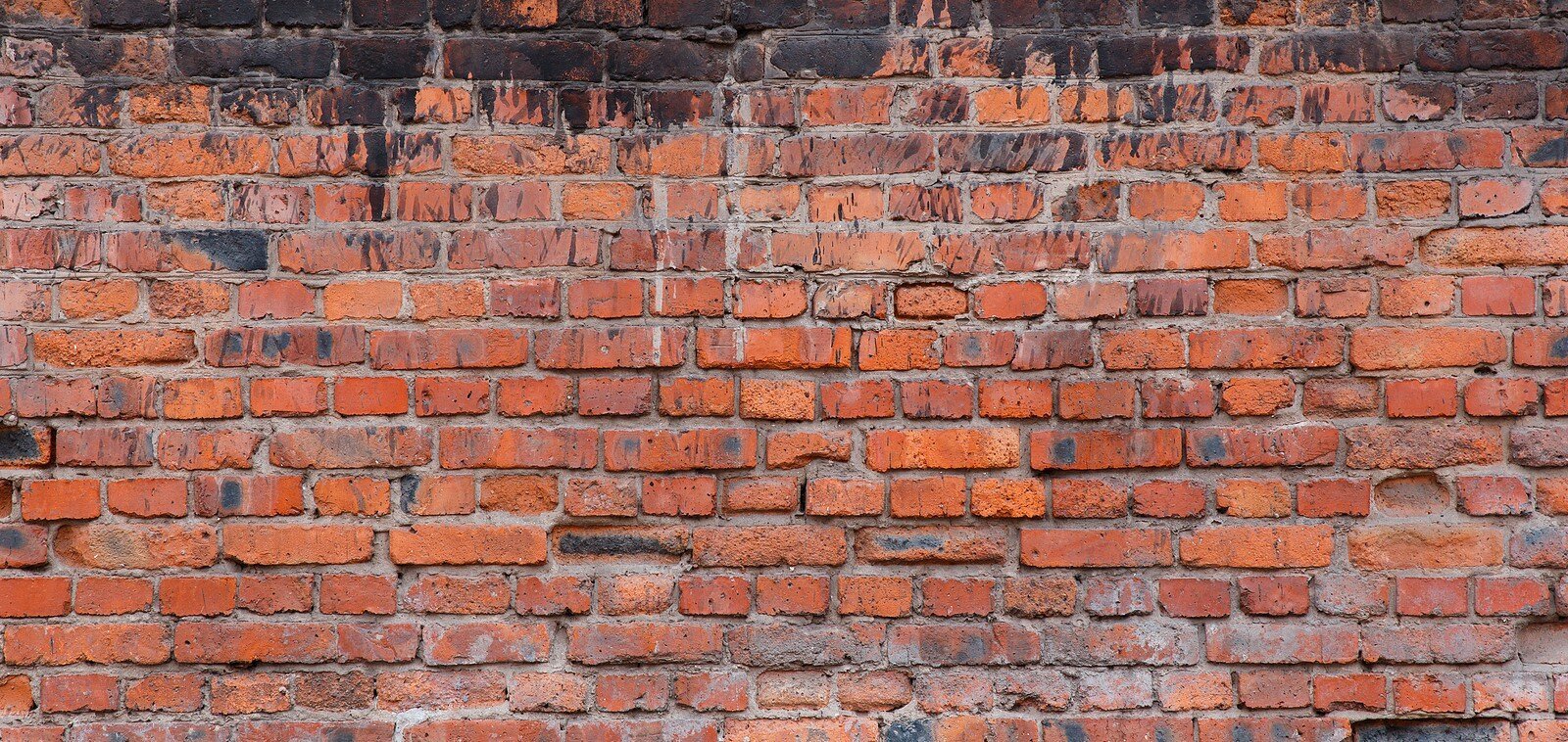 How-Tuckpointing-Can-Help-Keep-Your-Basement-Dry-All-Winter-Long-Renaissance-Development-DC