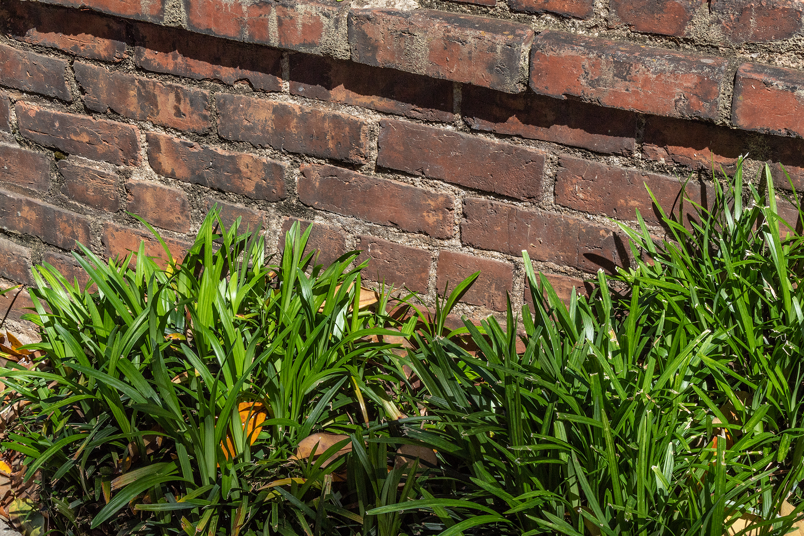 More Than Functional Brick Retaining Walls Can Be Heritage Statements - Renaissance Development DC