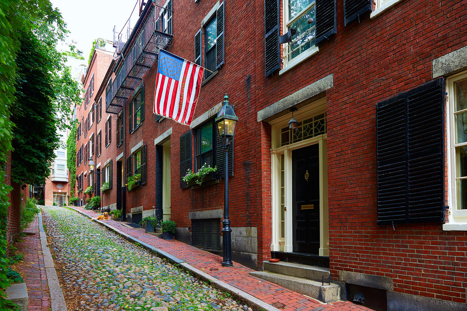 Historic Row Home with Flag Attached Renaissance Development DC